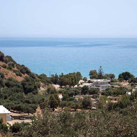 Rykinthos Studios Rodhákinon Exterior foto