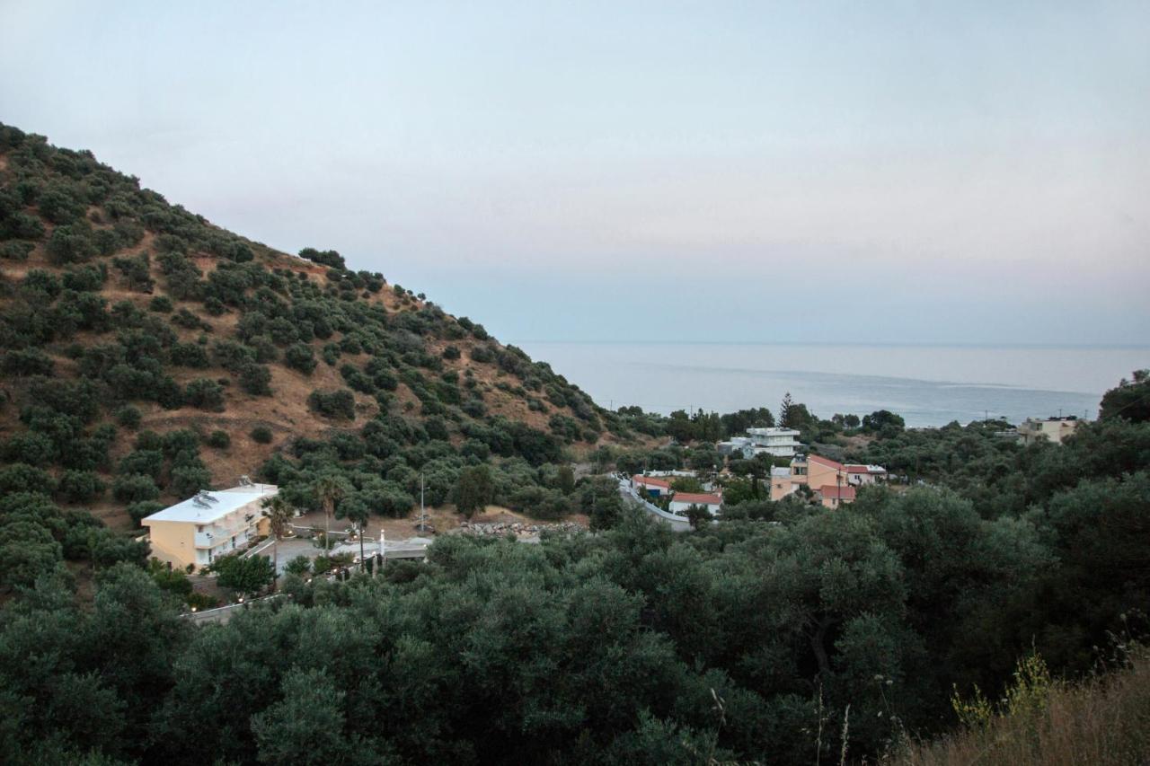 Rykinthos Studios Rodhákinon Exterior foto